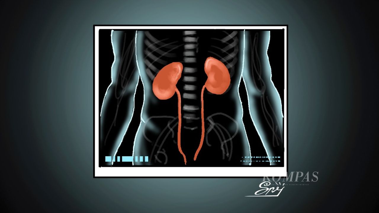 harapan-baru-penderita-gagal-ginjal-djoko-santoso.jpg